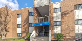 Camden Hills Gallery 38