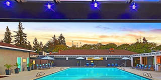 Camden Village Gallery 19