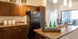 Elevation Luxury Apartments Gallery 15