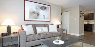 The Harrison Gallery 3