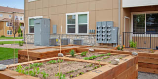 Wildhorse at Tuscany Gallery 36