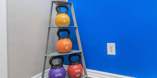 Hampton Place Luxury Apartment Gallery 11