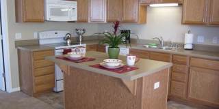 Taylor Park Apartments - Senior Housing Gallery 10