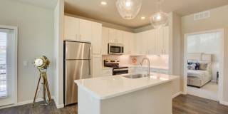 The Travis Gallery 8