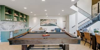 Kallisto at Bear Creek Gallery 15