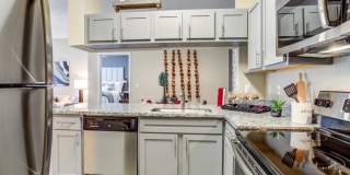 Sola Westchase Gallery 1