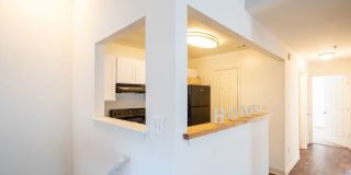 Terrace View Gallery 4