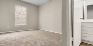 Newport Apartments Gallery 6