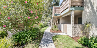 Lincoln Heights Gallery 16