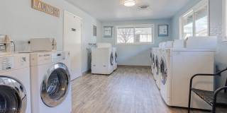 Windsong Apartments Gallery 13