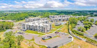 The Percy Gallery 44