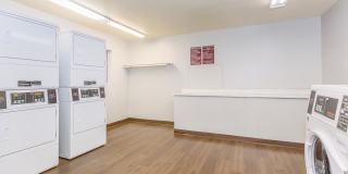 Whispering Willows Gallery 12