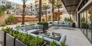 Auric Symphony Park Gallery 13