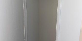 Palm Garden Gallery 12