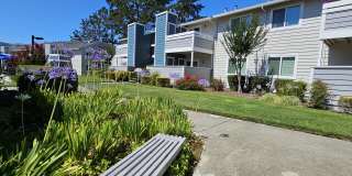 Marion Park Gallery 5