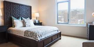 Ovation 309 Gallery 19