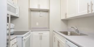 Harrison Somerset Gallery 2