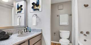 Serena Vista Gallery 5