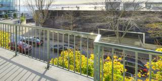 Oceana Gallery 14