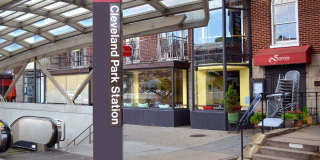 3032 Rodman Gallery 12