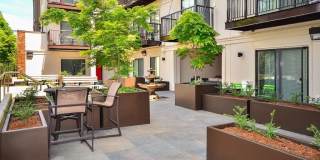 Ruth Court Gallery 20