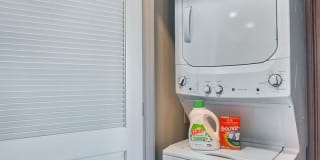 The Curve at Melrose Gallery 16