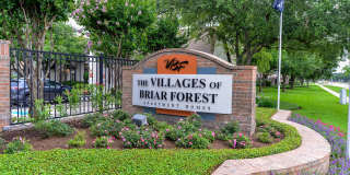 Villages of Briar Forest Gallery 11