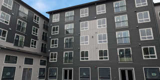Ovation at Paine Field - 55+ Senior Living Community Gallery 10
