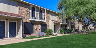 Wood Trail Gallery 41
