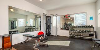 Terra at Enchanted Hills Gallery 14