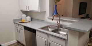 The Madison Gallery 6