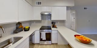 Antilles Apartments Gallery 2