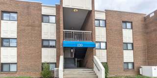 Camden Hills Gallery 37