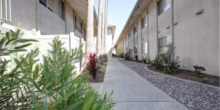 Loma Portal Gallery 33