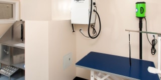 Park Royal Gallery 6