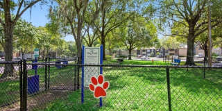 Park at Walden Lake Gallery 32