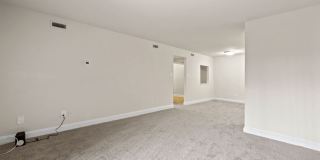 Camden Hills Gallery 14