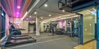 The Bernice Gallery 17