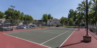 The Woodlands The Woodlands Gallery 23