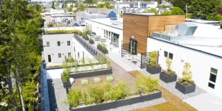 Bogtown Flats Gallery 21