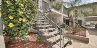Rancho Vista Apts Gallery 18
