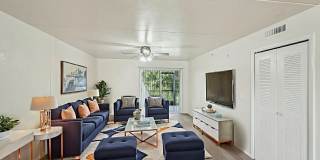 The Corals Gallery 8