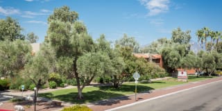 Maguire Hill Gallery 5