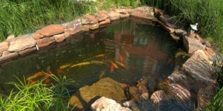 Senior Housing - Golden Bamboo III Senior Gallery 13