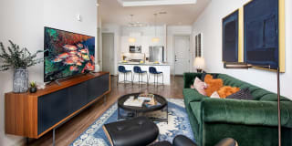 Ten 45 Suwanee Luxury Apartments Gallery 7