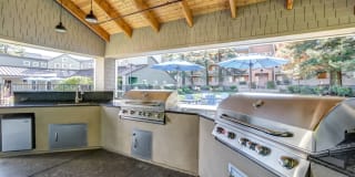 Serramonte Ridge Gallery 10