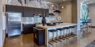 Agave 350 Gallery 25