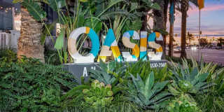 The Oasis Gallery 18