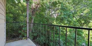 Woodland Trails Gallery 30