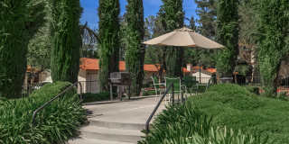 Palm Mission Village & Estates Gallery 45